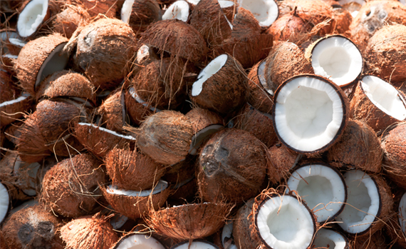 Coconut-wholesale-Suppliers-in-Coimbatore