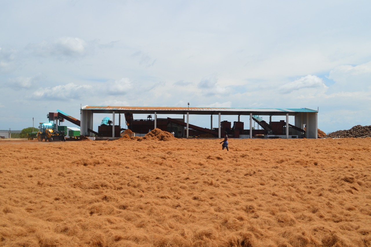 Coconut-Suppliers-and-Coconut-peat-Suppliers-in-coimbatore