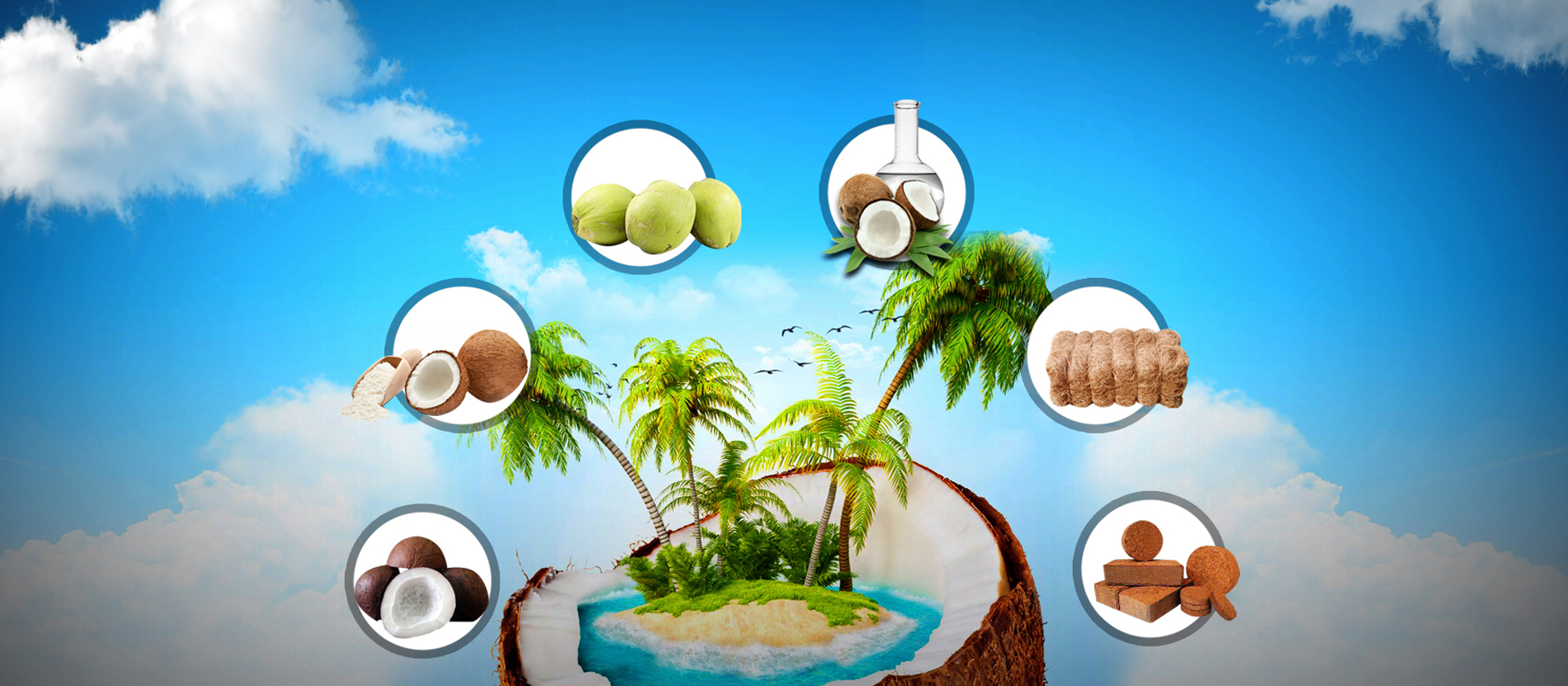 Coconut-Suppliers-and-Coconut-peat-Suppliers-in-coimbatore