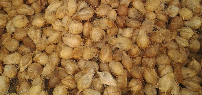 Coconut-powder-Manufacturers-in-Coimbatore