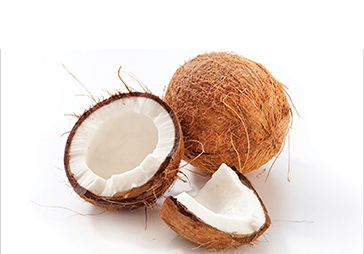 Coconut-Suppliers-and-Coconut-peat-Suppliers-in-coimbatore