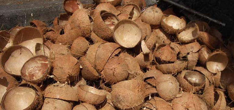 Coconut-powder-Manufacturers-in-Coimbatore